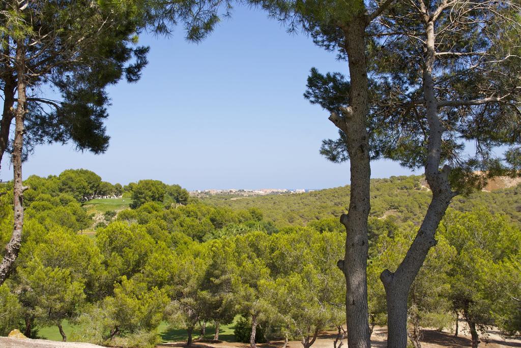 Casa Vromans Alto Torrevieja Bilik gambar